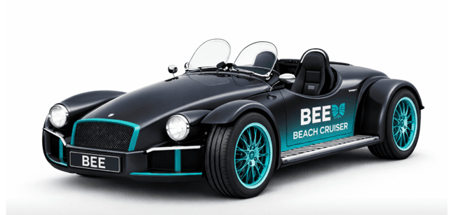 Beach Cruiser